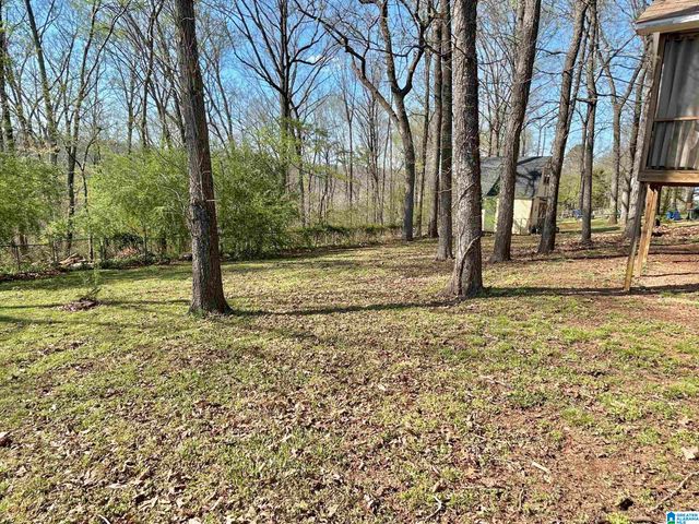 999 RIDGEWOOD DRIVE, Remlap, AL 35133