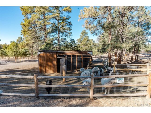 7479 Pine Crest Dr, Kiowa, CO 80117