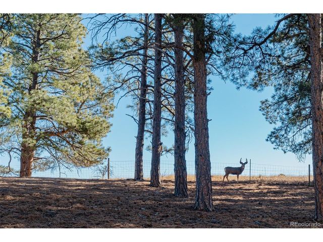 7479 Pine Crest Dr, Kiowa, CO 80117