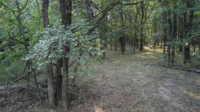 118 Dickey Road, Sadler, TX 76264