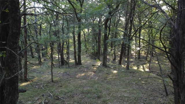118 Dickey Road, Sadler, TX 76264