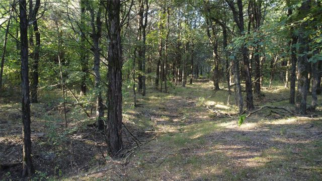 118 Dickey Road, Sadler, TX 76264