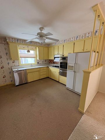 15163 University Street, Allen Park, MI 48101