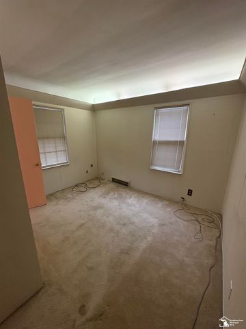 15163 University Street, Allen Park, MI 48101