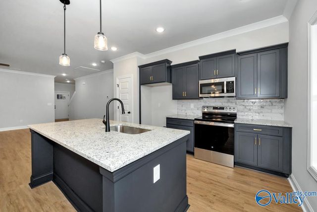 142 Old Forest Road, Meridianville, AL 35759