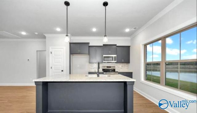 142 Old Forest Road, Meridianville, AL 35759