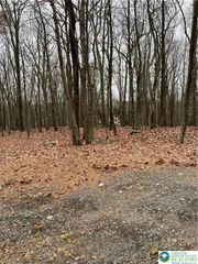 302 Traverse Road, Lehman Twp, PA 18328
