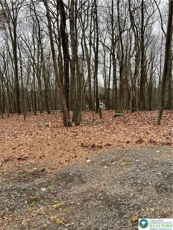 302 Traverse Road, Lehman Twp, PA 18328