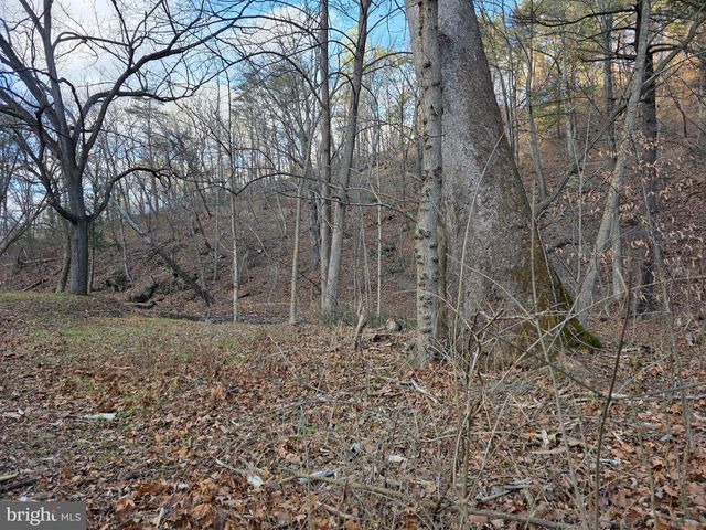 2128 SIR JOHNS RUN RD, Berkeley Springs, WV 25411