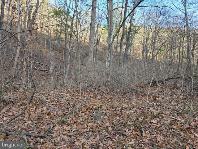 2128 SIR JOHNS RUN RD, Berkeley Springs, WV 25411