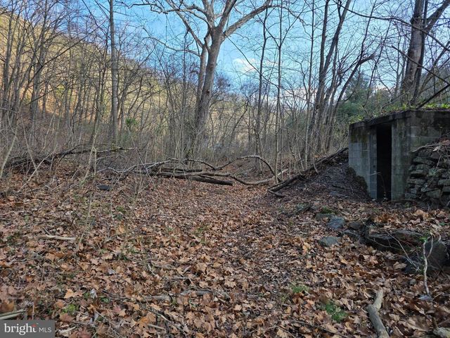 2128 SIR JOHNS RUN RD, Berkeley Springs, WV 25411