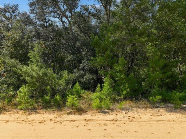 211 SELMA AVENUE, Interlachen, FL 32148