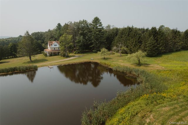 91 Old Hankins Road, Callicoon, NY 12723