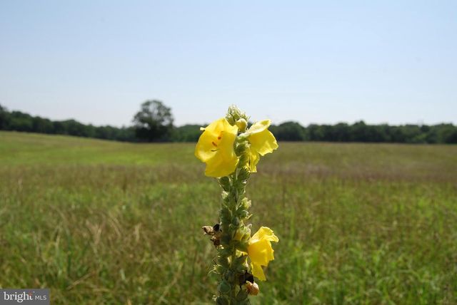 220 STOTELMYER LN, Martinsburg, WV 25405