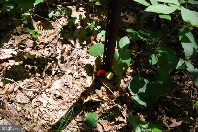 220 STOTELMYER LN, Martinsburg, WV 25405