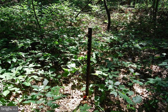 220 STOTELMYER LN, Martinsburg, WV 25405