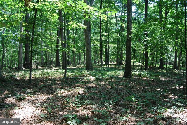 220 STOTELMYER LN, Martinsburg, WV 25405