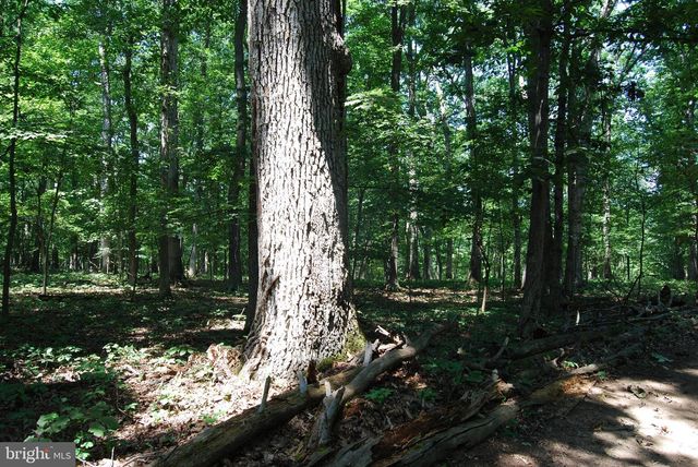 220 STOTELMYER LN, Martinsburg, WV 25405