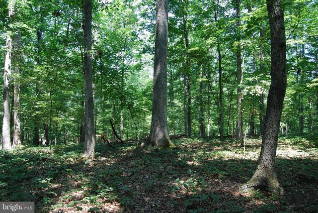 220 STOTELMYER LN, Martinsburg, WV 25405