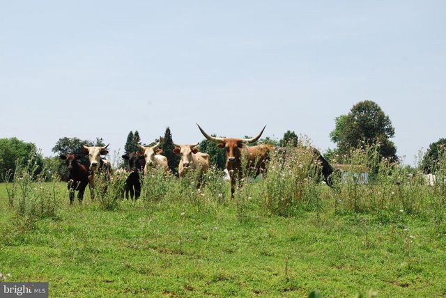 220 STOTELMYER LN, Martinsburg, WV 25405