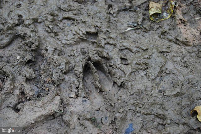 220 STOTELMYER LN, Martinsburg, WV 25405