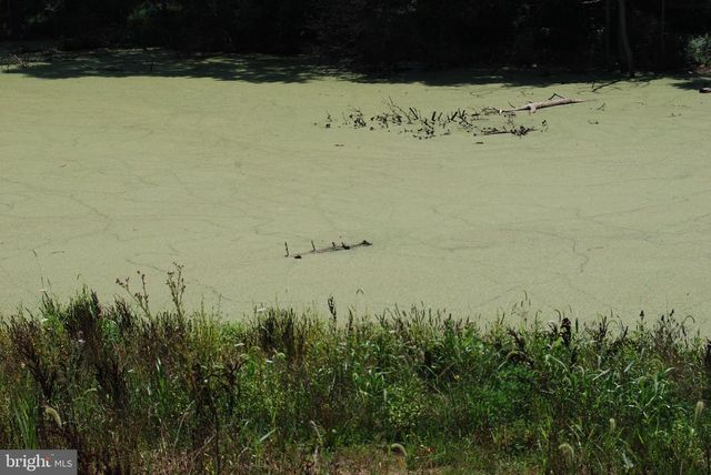 220 STOTELMYER LN, Martinsburg, WV 25405