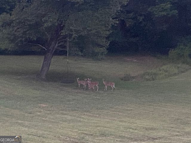 5265 New Liberty Road, Clarkesville, GA 30523