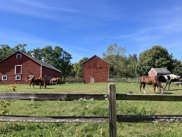 75 Cumberland Road, Burlington, VT 05408