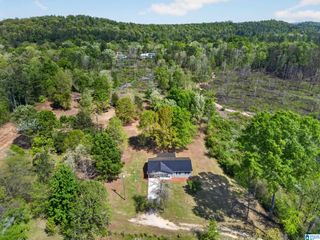 360 PARKWOOD DRIVE, Ohatchee, AL 36271