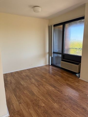 2921 S Michigan Avenue 517, Chicago, IL 60616