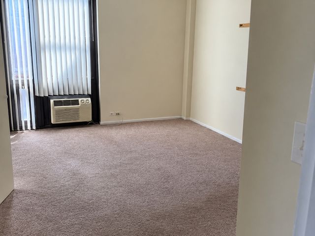2921 S Michigan Avenue 517, Chicago, IL 60616