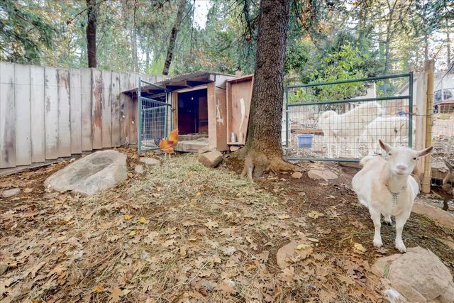 10066 Smith Rd, Grass Valley, CA 95949
