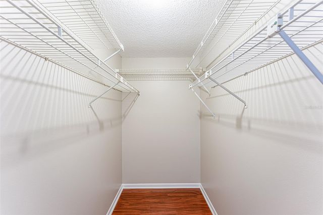 16017 WOODPINE DRIVE, Tampa, FL 33618