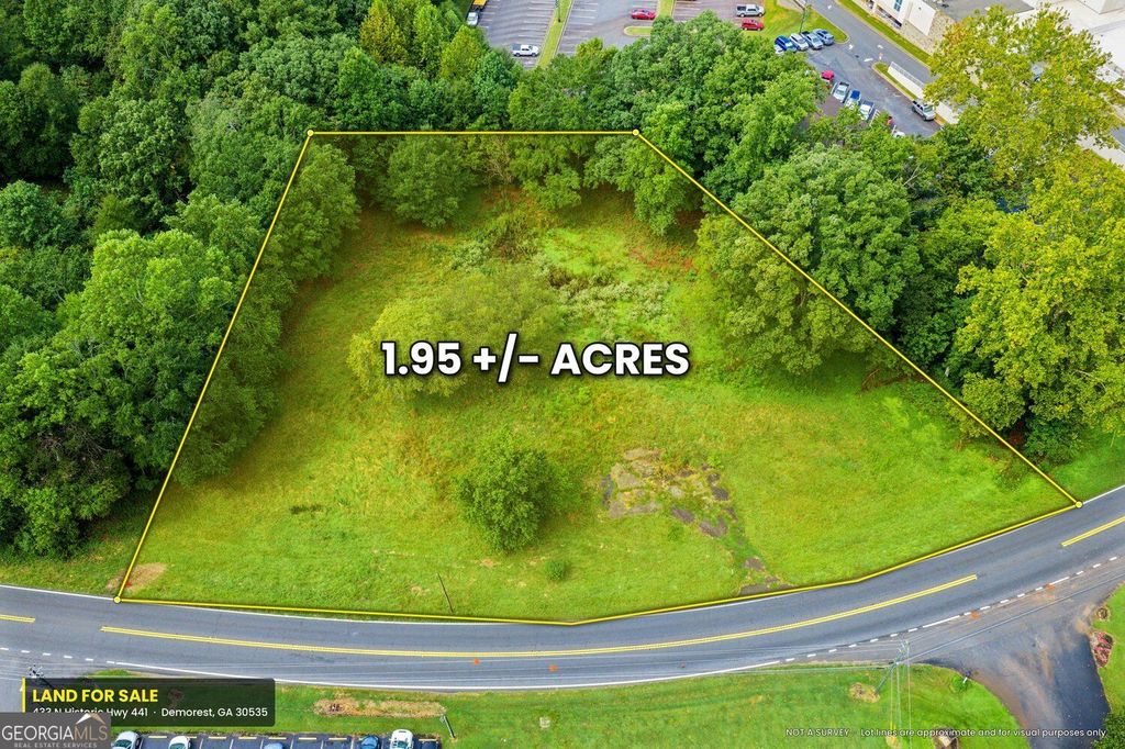 433 N Historic Highway 441, Demorest, GA 30535 — exterior