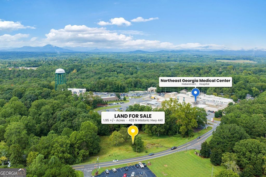 433 N Historic Highway 441, Demorest, GA 30535 — photo 2