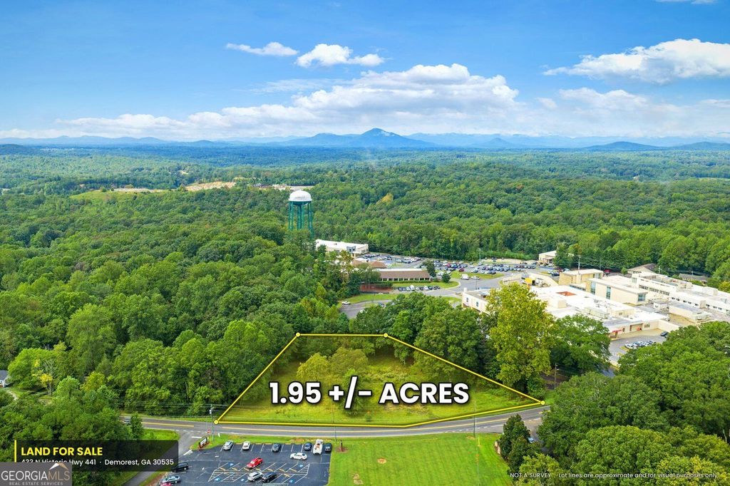 433 N Historic Highway 441, Demorest, GA 30535 — photo 4
