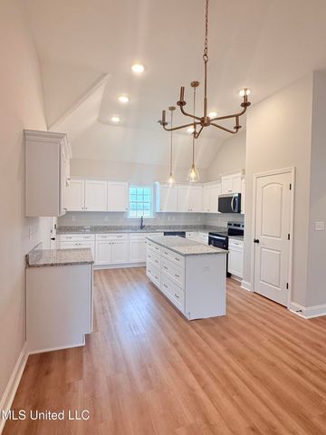 6094 E River Birch Road, Walls, MS 38680