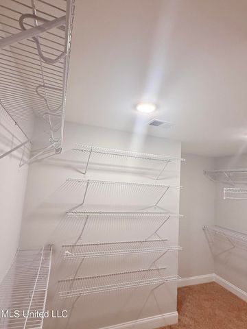 6094 E River Birch Road, Walls, MS 38680