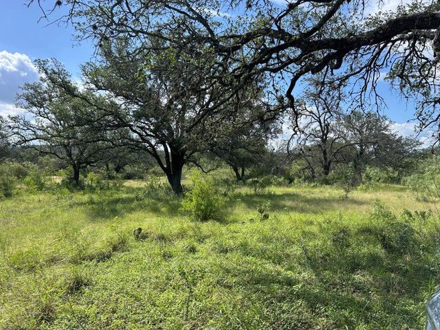 10 ACRES OLD FERRY RD, Spicewood, TX 78669