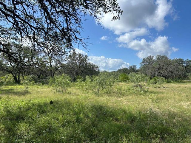 10 ACRES OLD FERRY RD, Spicewood, TX 78669