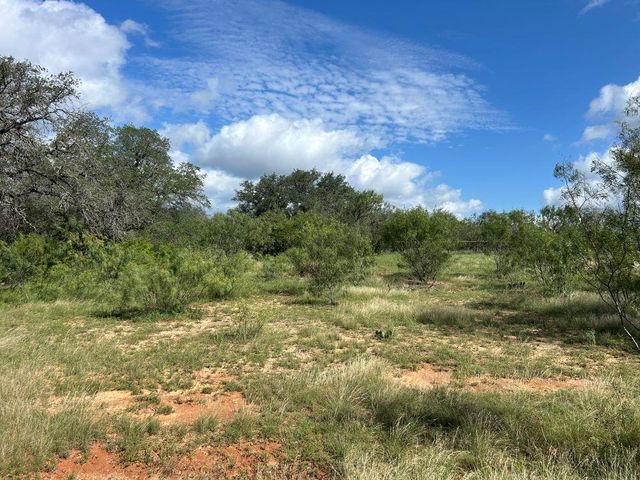 10 ACRES OLD FERRY RD, Spicewood, TX 78669