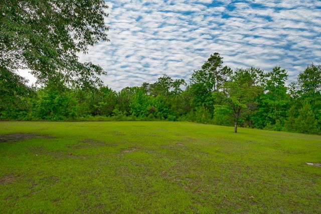 235 Sorin 235, Elloree, SC 29047