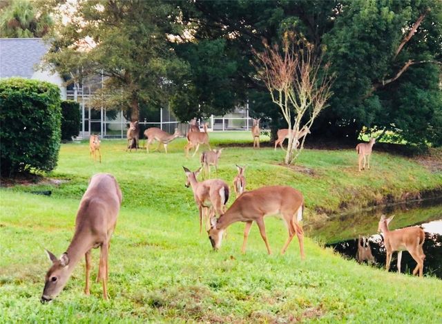 300 SWEETWATER BAY COURT, Longwood, FL 32779