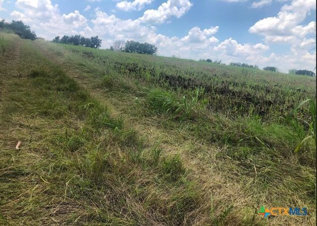 TBD Cr 421, Thrall, TX 76578