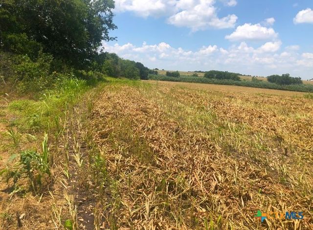 TBD Cr 421, Thrall, TX 76578