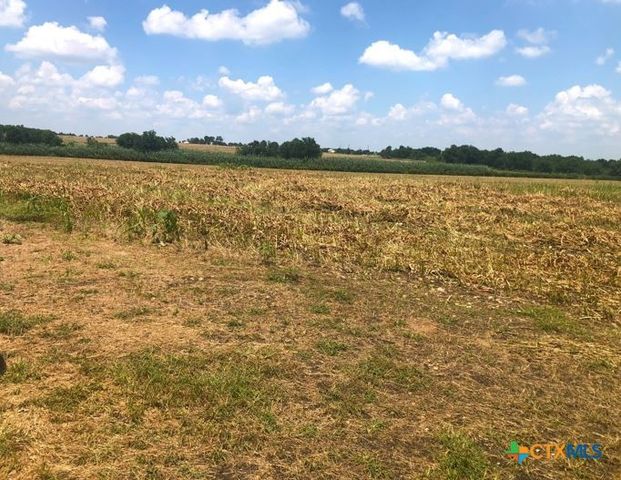 TBD Cr 421, Thrall, TX 76578