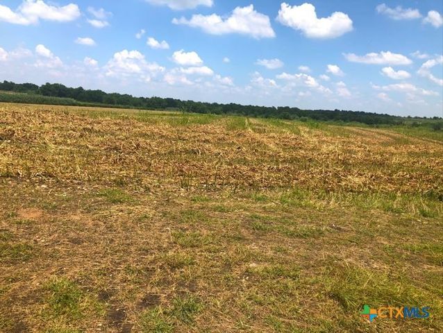 TBD Cr 421, Thrall, TX 76578