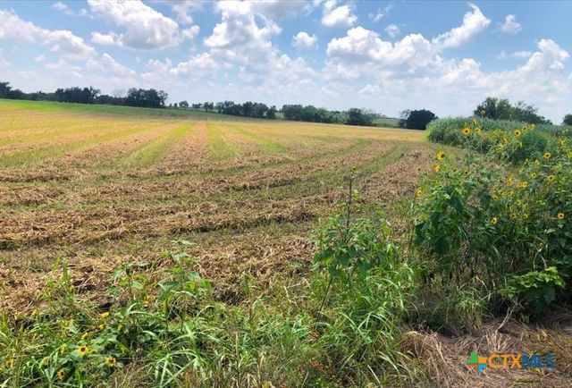 TBD Cr 421, Thrall, TX 76578