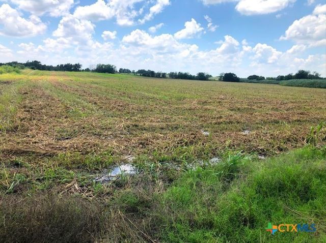 TBD Cr 421, Thrall, TX 76578