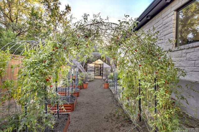 110 C Chisholm, Blanco, TX 78606